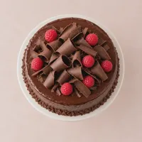 Chocolate & raspberry cake — view 4